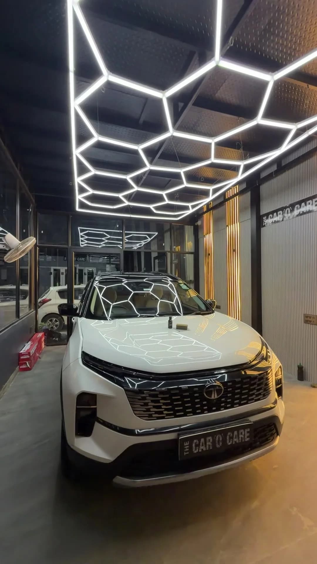 Ceramic coating and PPF studio lighting at THE CAR O CARE